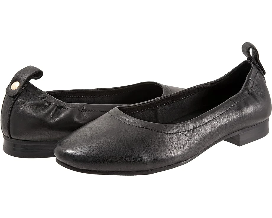 Trotters Gia 3 Trotters Gia